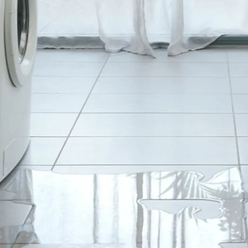 Appliance Leak Cleanup in Floyd County, GA