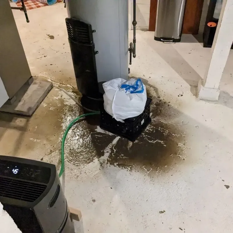 Sewage Backup Cleanup Service in Floyd County, GA